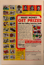 Load image into Gallery viewer, Amazing Spider-Man #109 9.0
