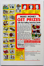 Load image into Gallery viewer, Amazing Spider-Man #60 8.0