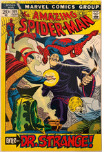 Load image into Gallery viewer, Amazing Spider-Man #109 9.0
