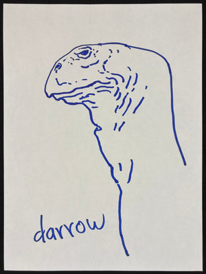 Descriptive image text
