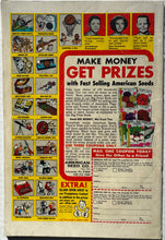 Load image into Gallery viewer, Amazing Spider-Man #73 4.0
