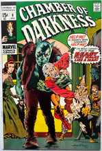 Load image into Gallery viewer, Chamber of Darkness #8 9.0
